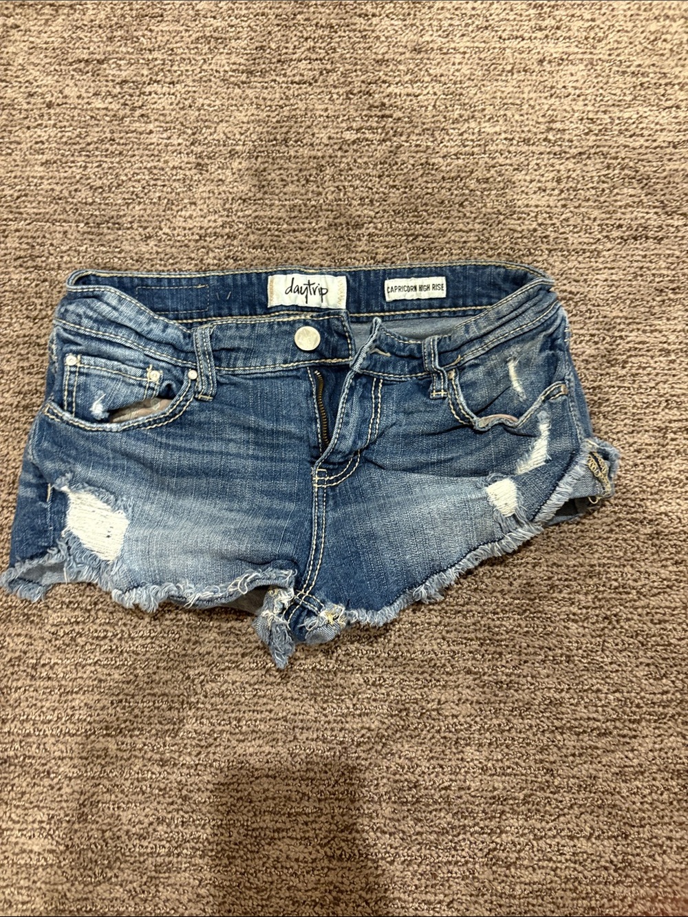 Daytrip Frayed Distressed Denim Shorts - Blue